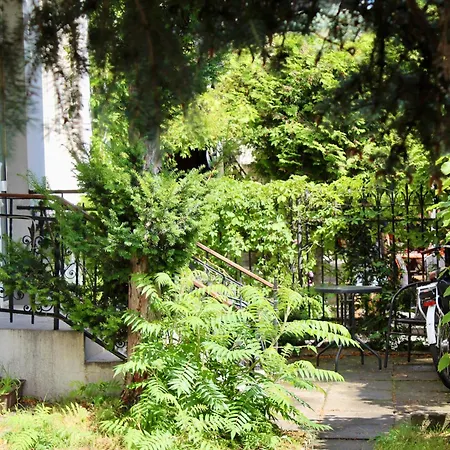 Harmonious Garden Victus In For 7 Guests By Renters * سوبوت